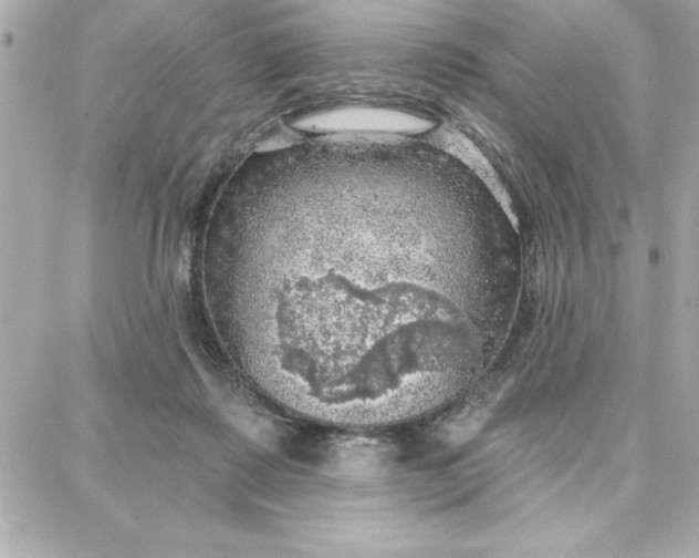 X0000087740315200705211019