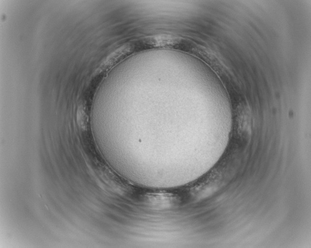 X0000087740316200705211019