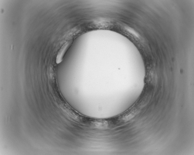 X0000087740317200705211019