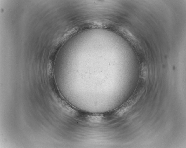 X0000087740318200705211019