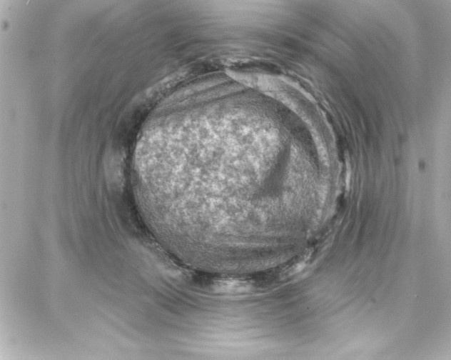 X0000087740319200705211019