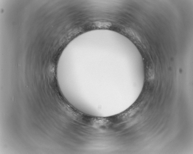 X0000087740321200705211019