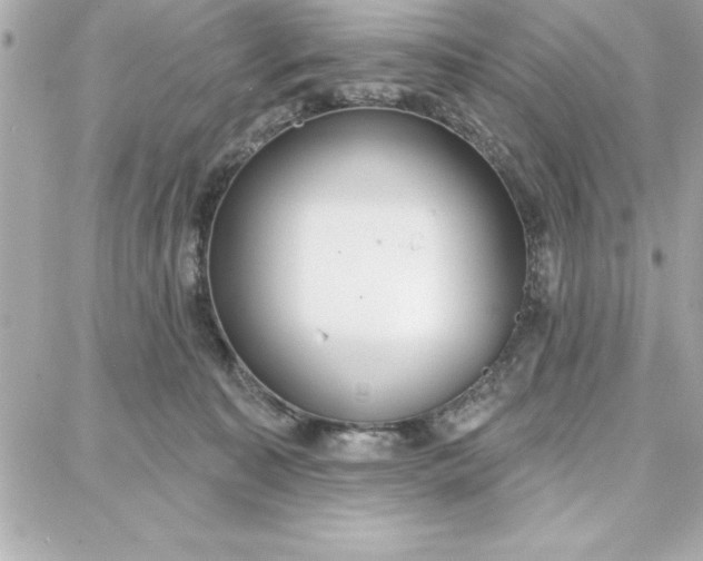 X0000087740323200705211019