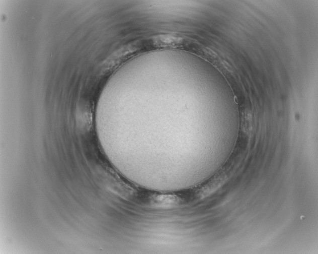 X0000087740324200705211019