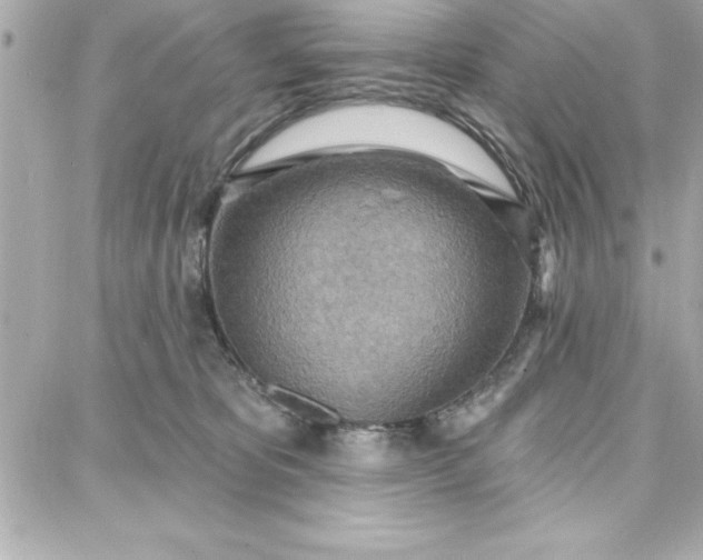 X0000087740325200705211019