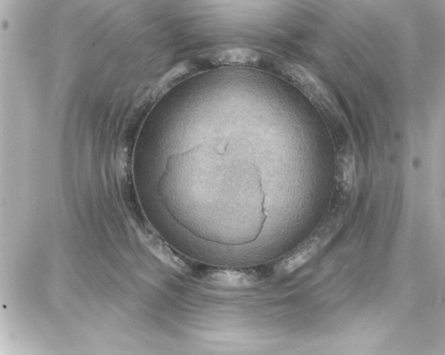 X0000087740326200705211019