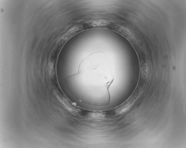 X0000087740327200705211019