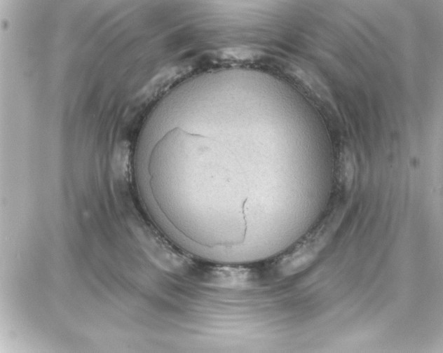 X0000087740328200705211019