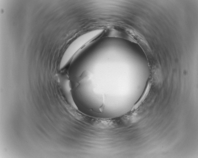 X0000087740329200705211019