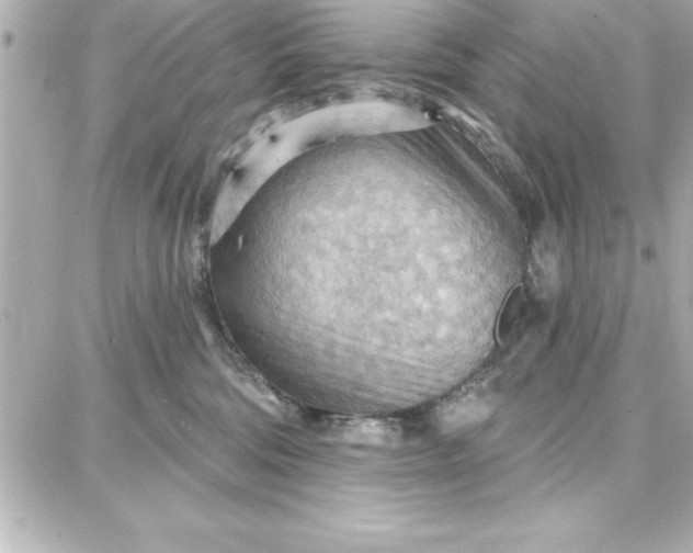 X0000087740330200705211018