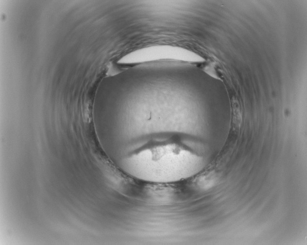 X0000087740331200705211018