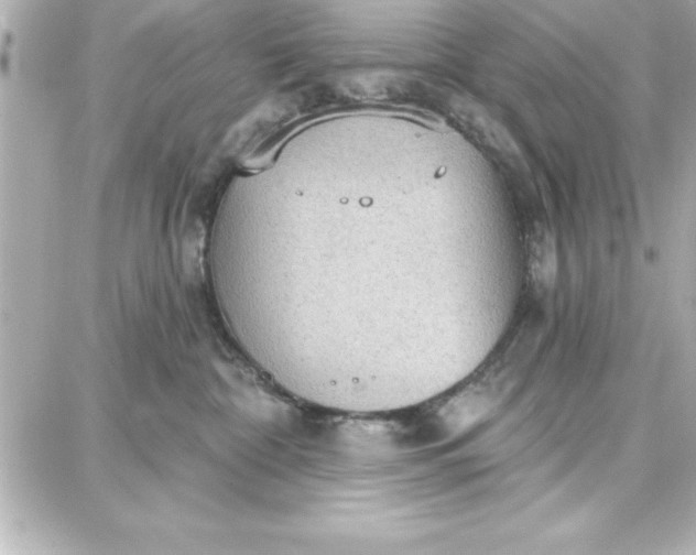 X0000087740332200705211018