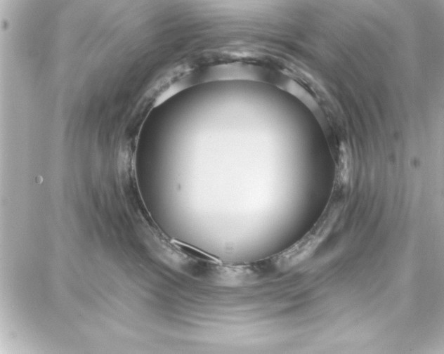 X0000087740333200705211018