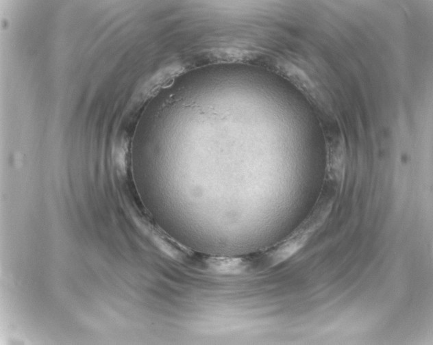 X0000087740334200705211018