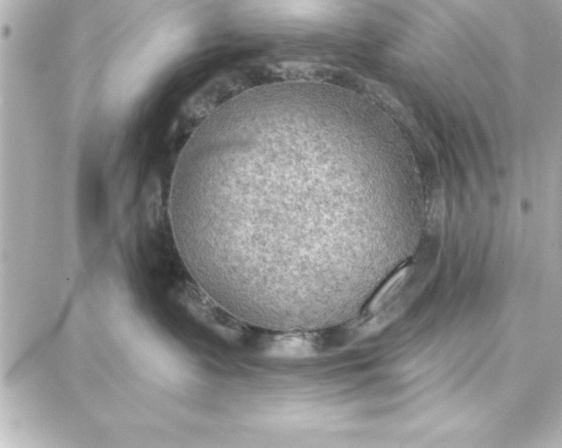 X0000087740335200705211018