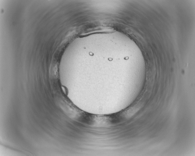 X0000087740336200705211018