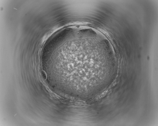 X0000087740337200705211018