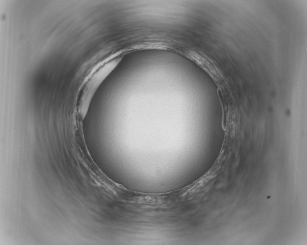 X0000087740338200705211018