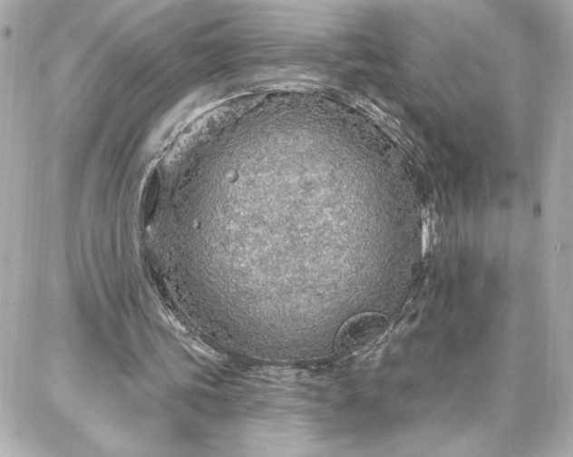 X0000087740339200705211018