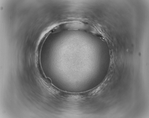 X0000087740342200705211018