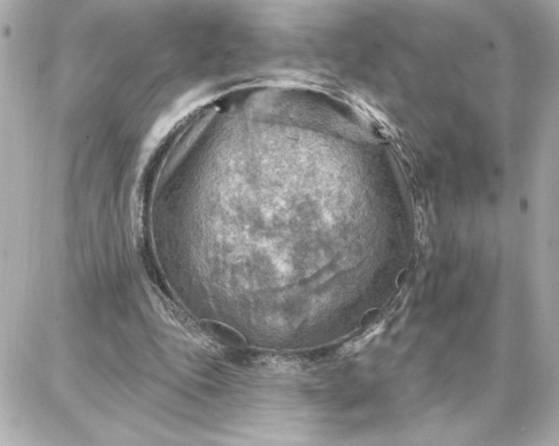 X0000087740343200705211018