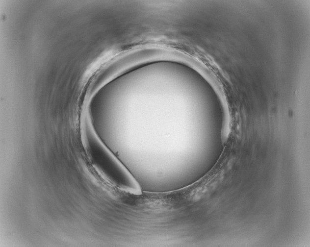 X0000087740344200705211018