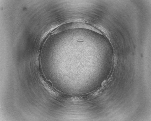 X0000087740345200705211018