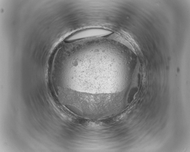 X0000087740346200705211018