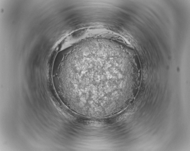 X0000087740347200705211018