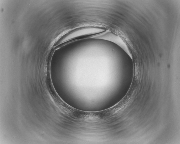 X0000087740348200705211018