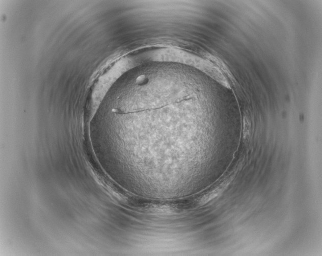 X0000087740349200705211018