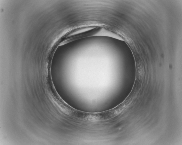 X0000087740350200705211018