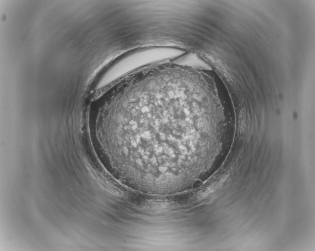 X0000087740351200705211018