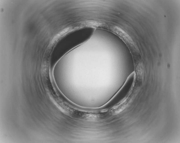 X0000087740352200705211018