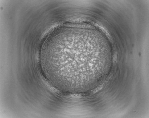 X0000087740353200705211018