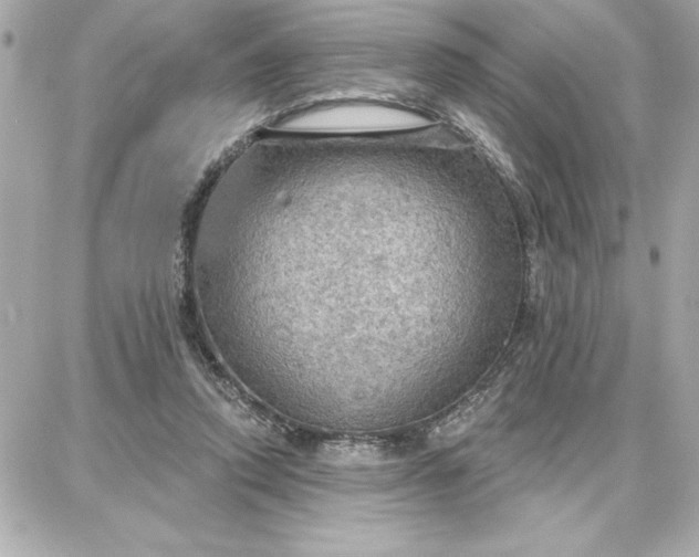 X0000087740354200705211018