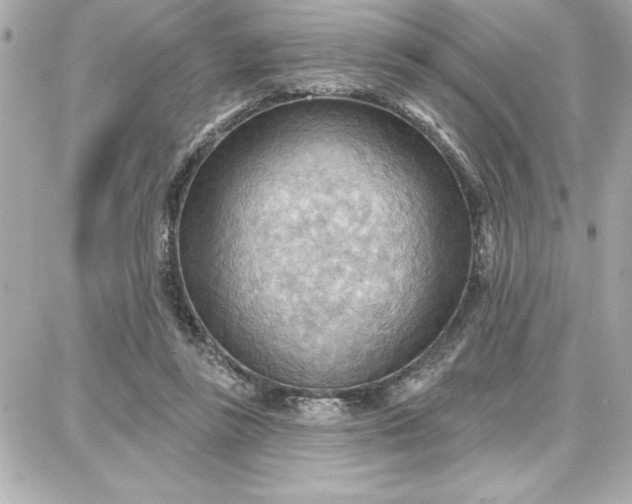 X0000087740355200705211018