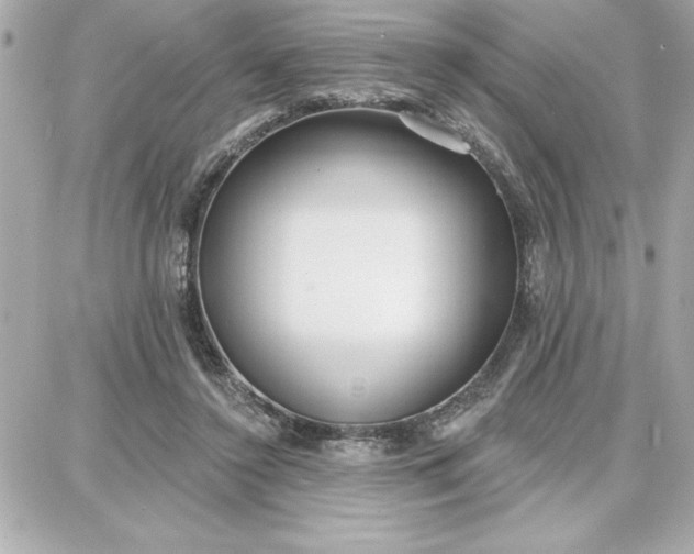 X0000087740356200705211018