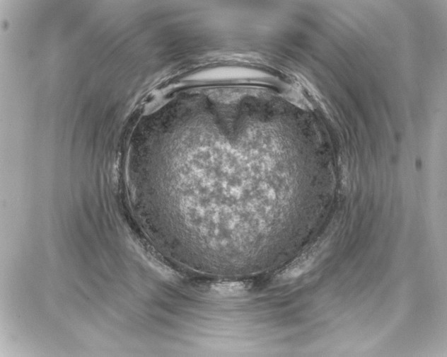 X0000087740357200705211018