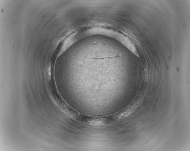 X0000087740358200705211018