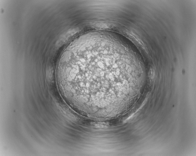 X0000087740359200705211018