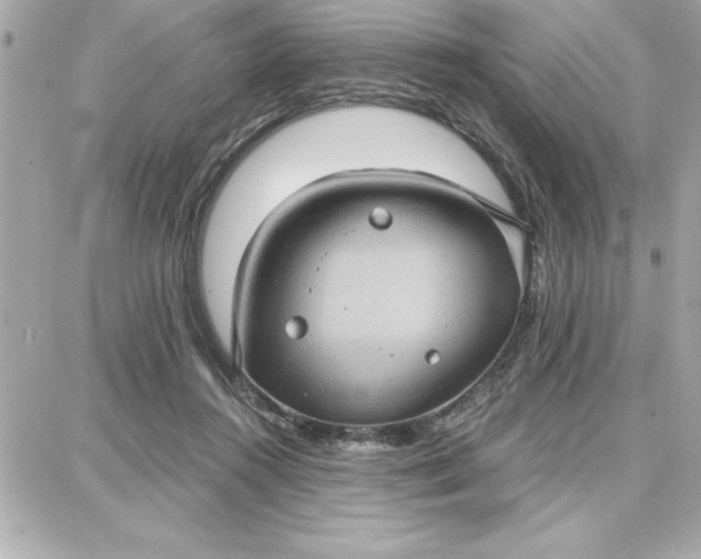 X0000087740360200705211018