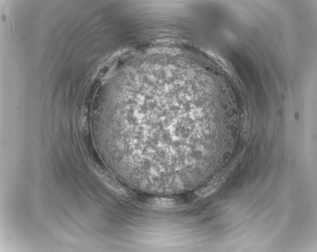 X0000087740361200705211018