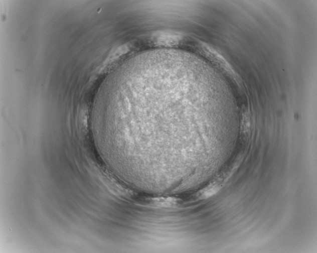 X0000087740363200705211018