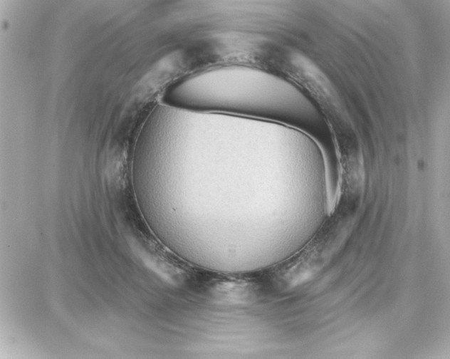 X0000087740364200705211018