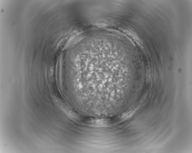 X0000087740365200705211018