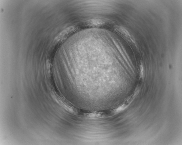 X0000087740366200705211018