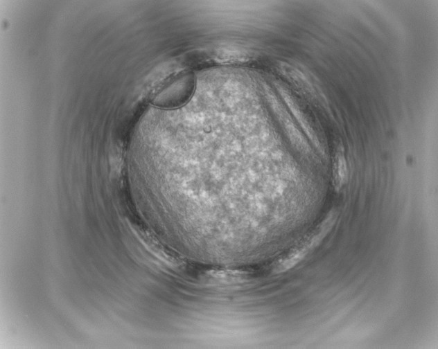 X0000087740367200705211018