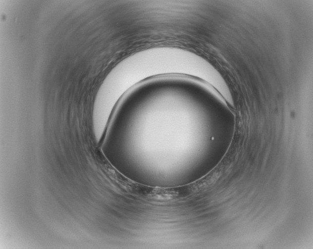 X0000087740368200705211018