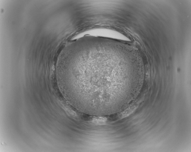 X0000087740369200705211018